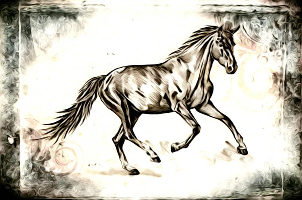Freihand Pferdekopf Bleistift Zeichnung Illustrator Grunge — Stockfoto