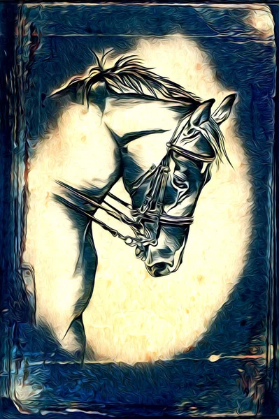 Vrij Hand Paard Hoofd Potlood Tekening Illustrator Grunge — Stockfoto