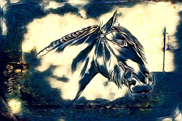 Вільний Кінь Голова Олівець Малюнок Ілюстратор Гранж — стокове фото