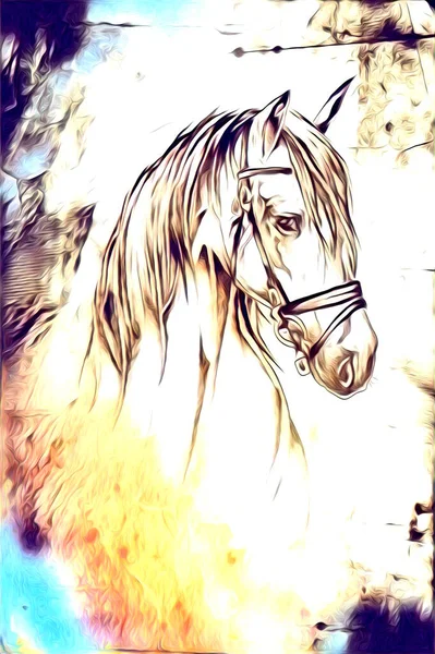 Freehand Horse Head Pencil Drawing Illustrator Grunge — Stock Photo, Image