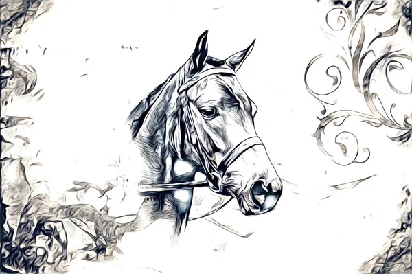 Freehand Horse Head Pencil Drawing Illustrator Grunge — Stock Photo, Image