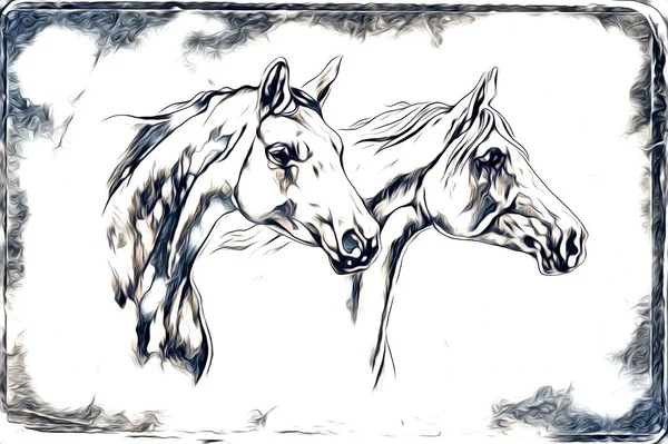 Mano Alzada Caballo Cabeza Lápiz Dibujo Ilustrador Grunge —  Fotos de Stock