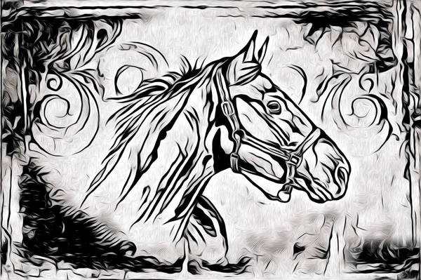 Vrij Hand Paard Hoofd Potlood Tekening Illustrator Grunge — Stockfoto