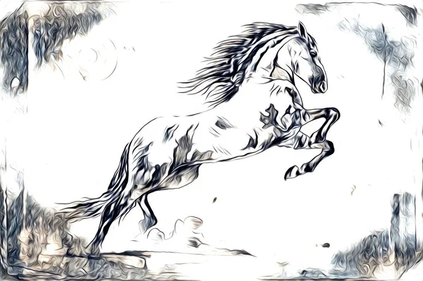 Mano Libera Testa Cavallo Matita Disegno Illustratore Grunge Foto Stock