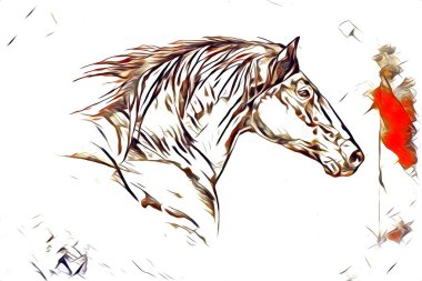 El yazması at başlı kalem çizim çizer grunge