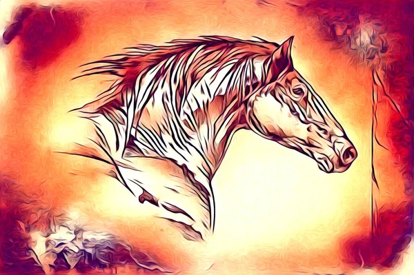 Вільний Кінь Голова Олівець Малюнок Ілюстратор Гранж — стокове фото