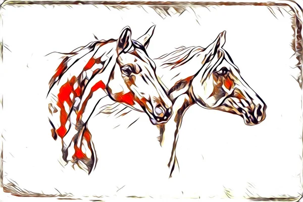 Vrij Hand Paard Hoofd Potlood Tekening Illustrator Grunge — Stockfoto