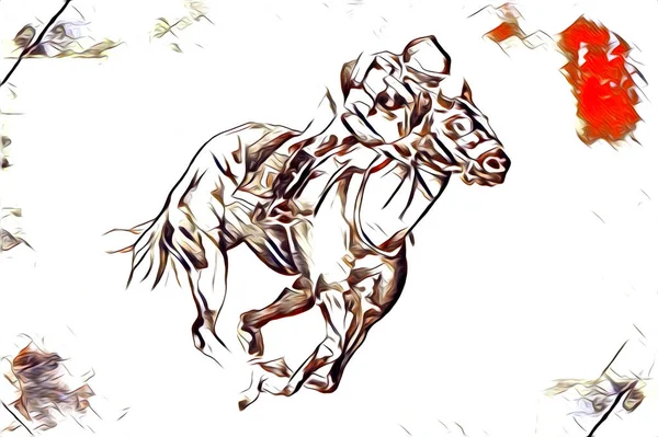 Mano Alzada Caballo Cabeza Lápiz Dibujo Ilustrador Grunge —  Fotos de Stock