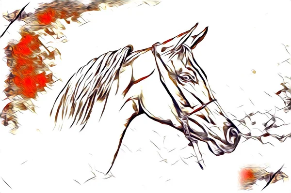 Mano Libera Testa Cavallo Matita Disegno Illustratore Grunge — Foto Stock