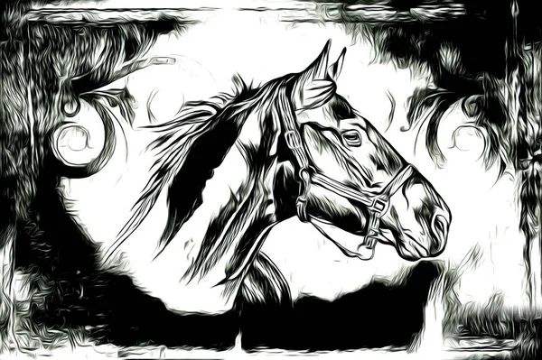 Mão Livre Cavalo Cabeça Lápis Desenho Ilustrador Grunge — Fotografia de Stock