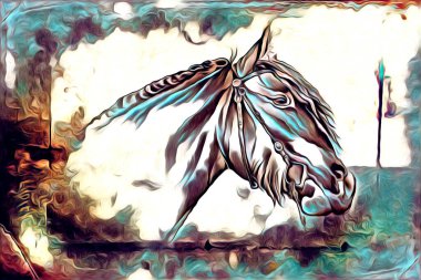 El yazması at başlı kalem çizim çizer grunge