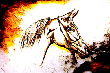 El yazması at başlı kalem çizim çizer grunge