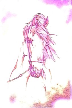 El yazması at başlı kalem çizim çizer grunge