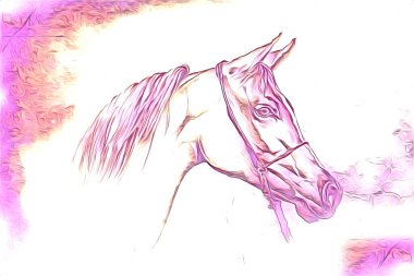 El yazması at başlı kalem çizim çizer grunge