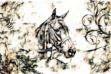 El yazması at başlı kalem çizim çizer grunge