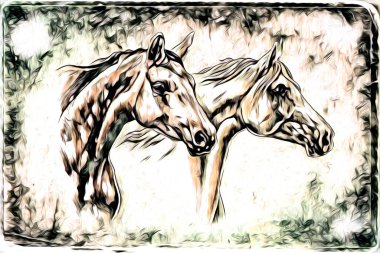 El yazması at başlı kalem çizim çizer grunge