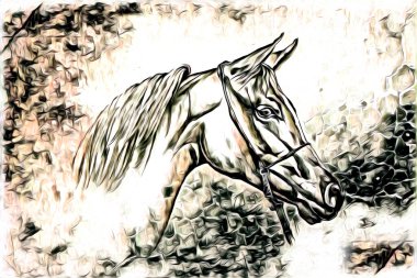 El yazması at başlı kalem çizim çizer grunge