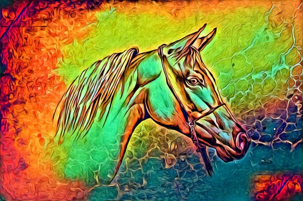 Mano Alzada Caballo Cabeza Lápiz Dibujo Ilustrador Grunge —  Fotos de Stock