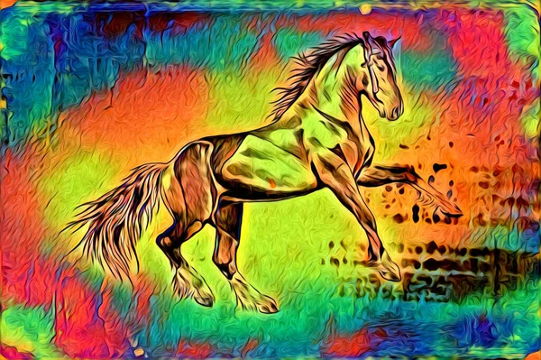 Vrij Hand Paard Hoofd Potlood Tekening Illustrator Grunge — Stockfoto