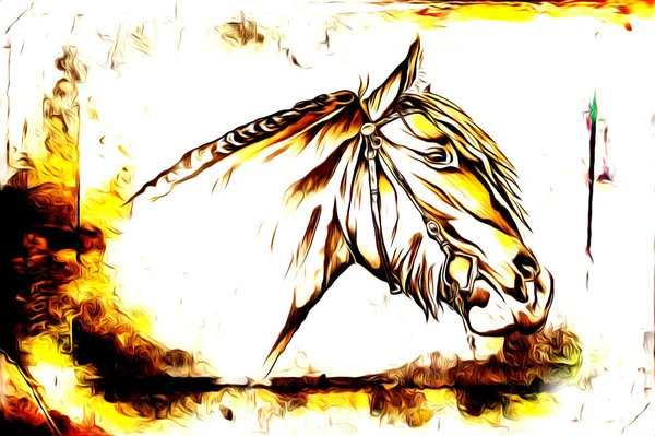 Freehand Horse Head Pencil Drawing Illustrator Grunge — Stock Photo, Image