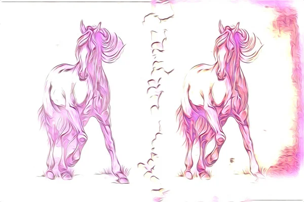 Freihand Pferdekopf Bleistift Zeichnung Illustrator Grunge — Stockfoto