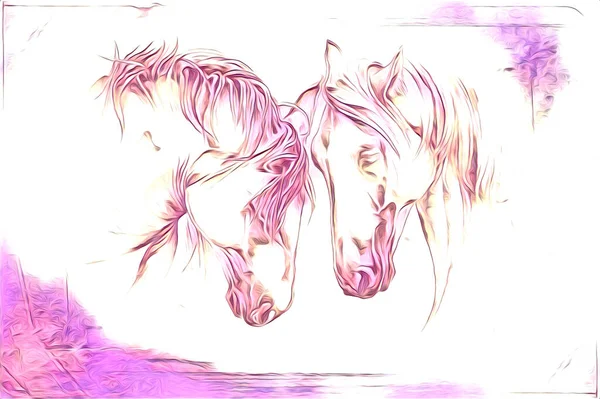 Vrij Hand Paard Hoofd Potlood Tekening Illustrator Grunge — Stockfoto