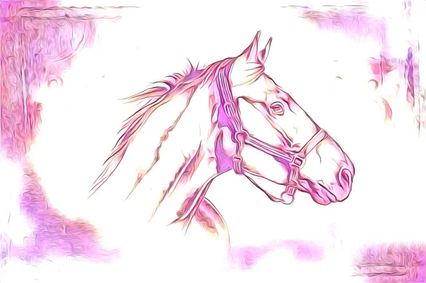 Tête Cheval Main Levée Crayon Dessin Illustrateur Grunge — Photo