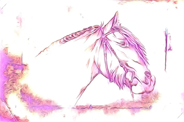 Freehand Horse Head Pencil Drawing Illustrator Grunge — Stock Photo, Image