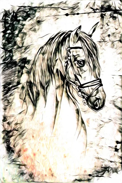 Mano Libera Testa Cavallo Matita Disegno Illustratore Grunge — Foto Stock