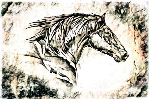白手起家的马头画笔画家 — 图库照片