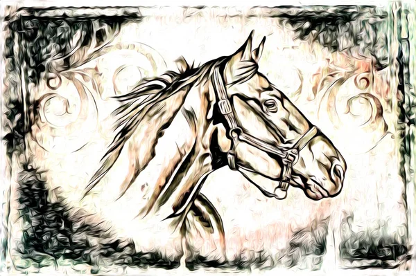 Freehand Horse Head Pencil Drawing Illustrator Grunge — Stock Photo, Image