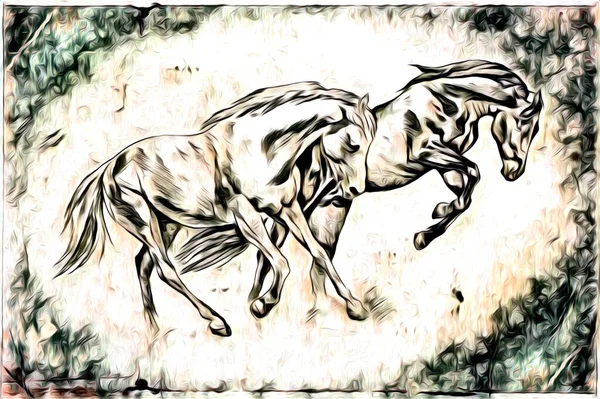 Mano Alzada Caballo Cabeza Lápiz Dibujo Ilustrador Grunge —  Fotos de Stock