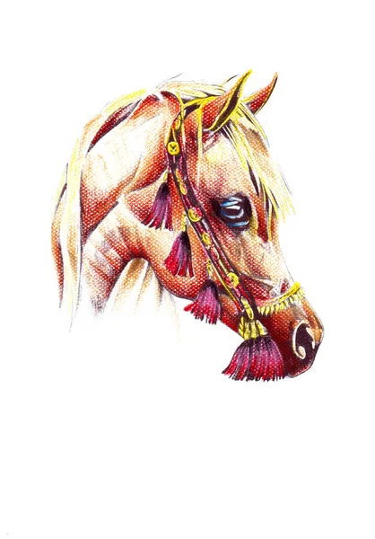 Colorido Caballo Arte Ilustración Grunge Pintura Fotografía Invierno — Foto de Stock