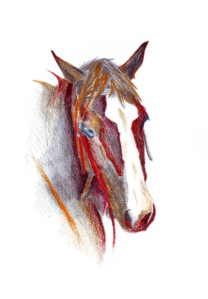 Colorido Caballo Arte Ilustración Grunge Pintura Fotografía Invierno —  Fotos de Stock