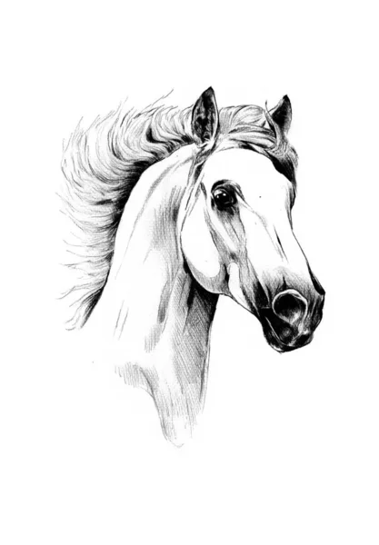 Barevný Kůň Umění Ilustrace Grunge Malba Fotografie Zima — Stock fotografie