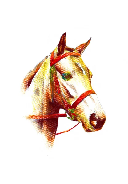 Colorido Caballo Arte Ilustración Grunge Pintura Fotografía Invierno —  Fotos de Stock