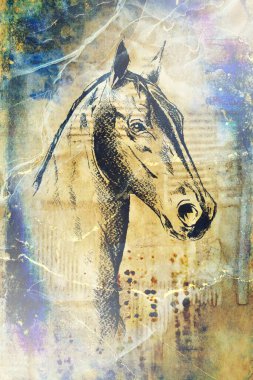 Renkli at sanatı çizimi grunge fotoğraf çekimi kış