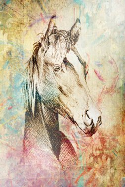 Renkli at sanatı çizimi grunge fotoğraf çekimi kış