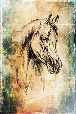 Renkli at sanatı çizimi grunge fotoğraf çekimi kış