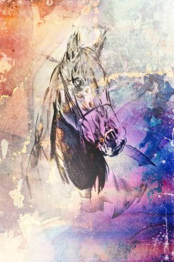 Renkli at sanatı çizimi grunge fotoğraf çekimi kış