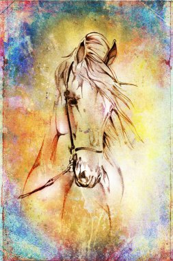 Renkli at sanatı çizimi grunge fotoğraf çekimi kış