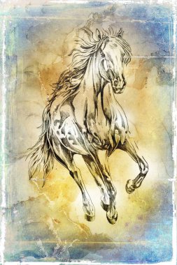 Renkli at sanatı çizimi grunge fotoğraf çekimi kış