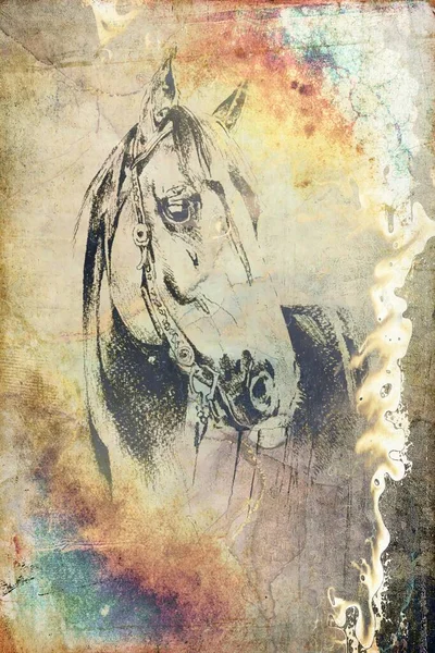 Renkli at sanatı çizimi grunge fotoğraf çekimi kış