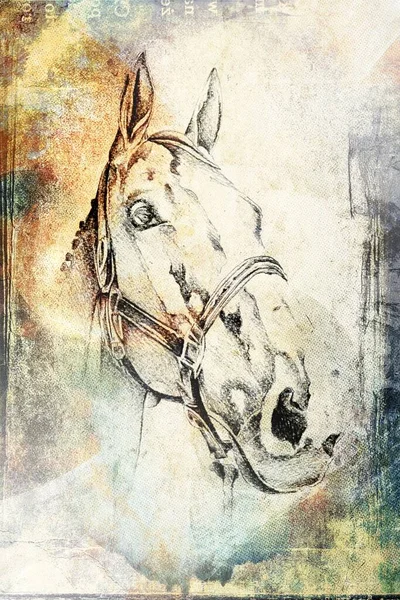 Colorato Cavallo Arte Illustrazione Grunge Pittura Fotografia Inverno — Foto Stock