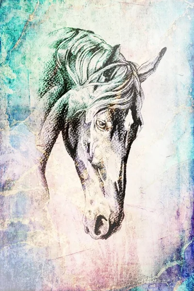 Renkli at sanatı çizimi grunge fotoğraf çekimi kış