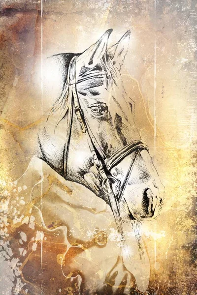 Renkli at sanatı çizimi grunge fotoğraf çekimi kış