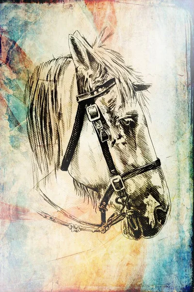 Colorido Caballo Arte Ilustración Grunge Pintura Fotografía Invierno —  Fotos de Stock