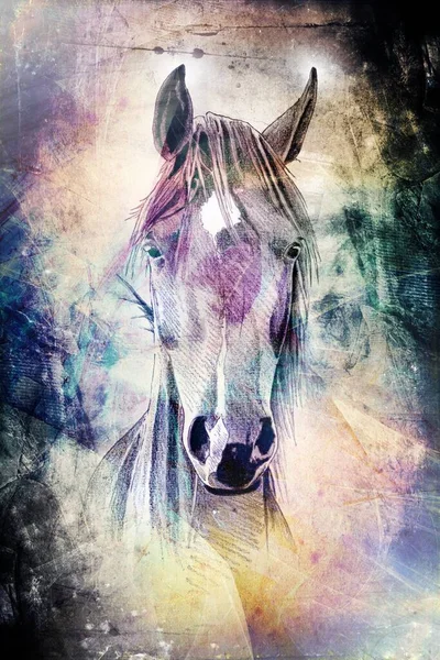 Renkli at sanatı çizimi grunge fotoğraf çekimi kış