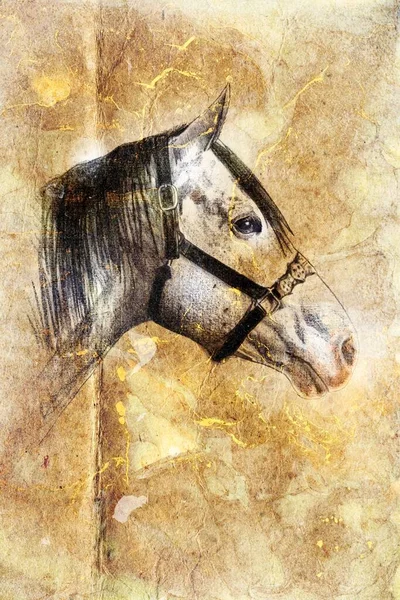 Colorido Caballo Arte Ilustración Grunge Pintura Fotografía Invierno — Foto de Stock