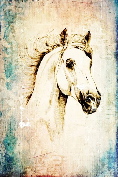 Barevný Kůň Umění Ilustrace Grunge Malba Fotografie Zima — Stock fotografie
